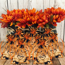 Load image into Gallery viewer, 10 Pack | 4&quot;x6&quot; Orange Black Bat Organza Favor Bags Party Drawstring Pouches