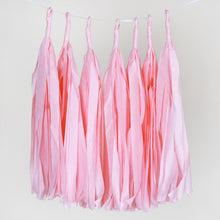 Load image into Gallery viewer, 12 PCS Pink Tissue Paper Balloon Tassel Garlands